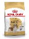 Psi - krmivo - Royal Canin Breed Kavalír King Charles